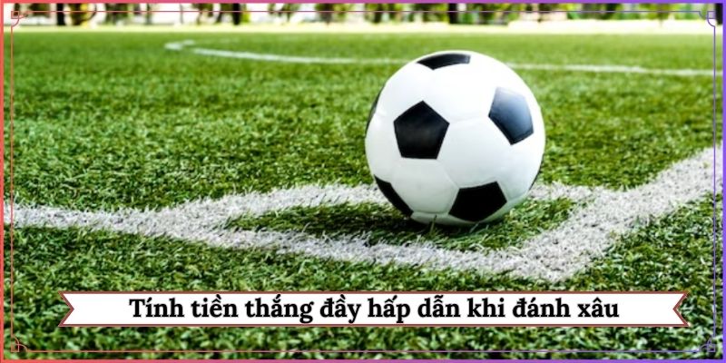 Tính tiền thắng đầy hấp dẫn khi đánh xâu